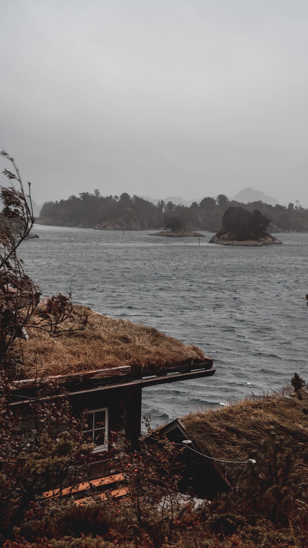 A grass-roofed coastal cabin in stormy weather.